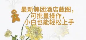 【轻云】最新美团酒店截图，可批量操作，小白也能轻松上手-Xiaobei云