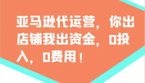 亚马逊代运营，你出店铺我出资金，0投入，0费用，无责任每天300分红，赢亏我承担-Xiaobei云