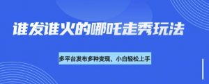 利用deepseek制作谁发谁火的哪吒2人物走秀视频，多平台发布多种变现-Xiaobei云