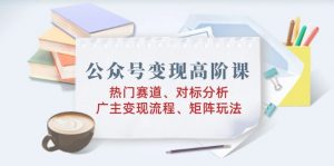 公众号变现高阶课:热门赛道、对标分析、广告主变现流程、矩阵玩法-Xiaobei云