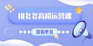 拼多多高阶运营课：极致群爆款玩法，轻付费无尽复制，打造单品爆款之路-Xiaobei云