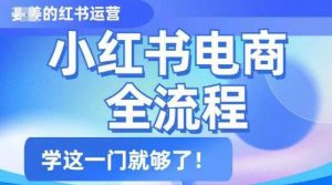 小红书电商全流程，精简易懂，从入门到精通，学这一门就够了-Xiaobei云