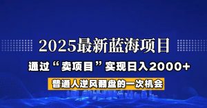 2025年蓝海项目，如何通过“网创项目”日入2000+-Xiaobei云