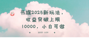 书旗2025新玩法，收益突破上限10000，小白可做-Xiaobei云