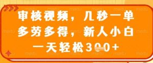 审核视频，几秒一单，多劳多得，新人小白一天轻松3张【揭秘】-Xiaobei云