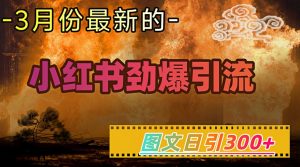 小红书超劲爆引流手段，图文日引300+轻松变现1W-Xiaobei云