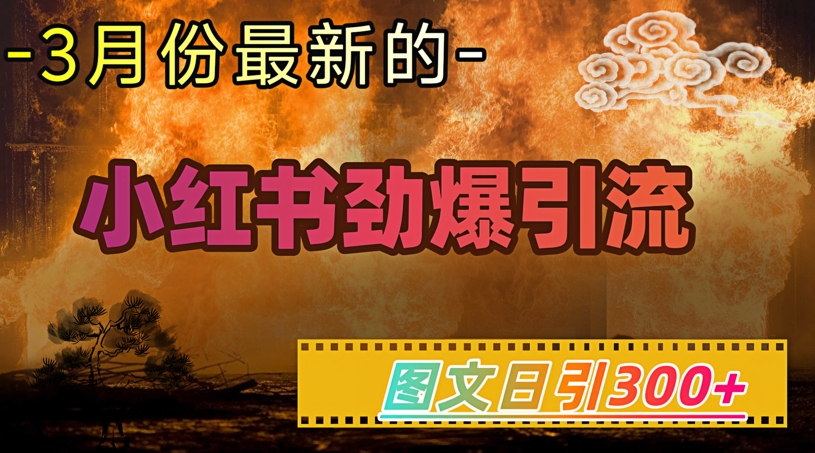 小红书超劲爆引流手段，图文日引300+轻松变现1W-Xiaobei云