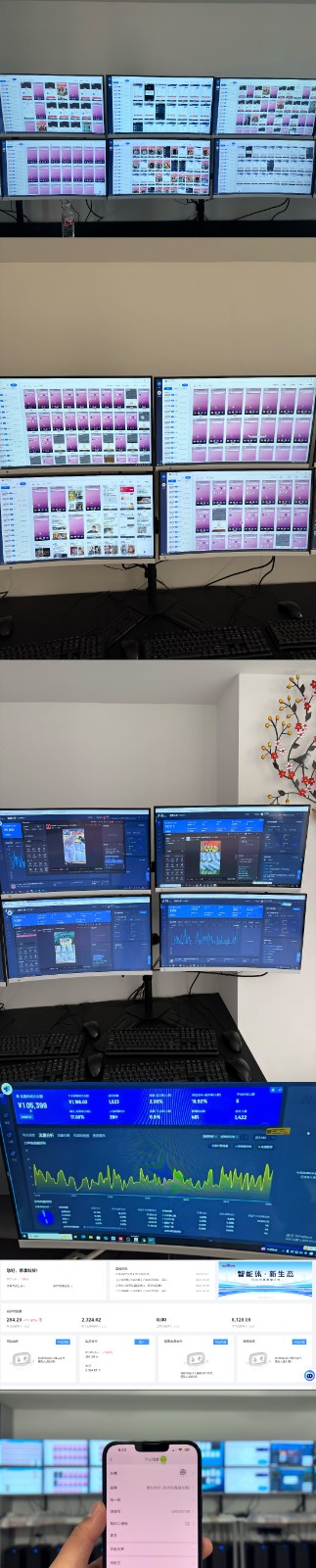 实操项目合集 挂机类型 直播类型 轻资产创业类型 课程分享各项目介绍和原理-Xiaobei云