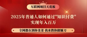 网创项目终点站-镰刀训练营超级IP合伙人，25年普通人如何通过“知识付费”年入百万-Xiaobei云