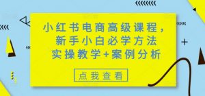 小红书电商高级课程，新手小白必学方法，实操教学+案例分析-Xiaobei云
