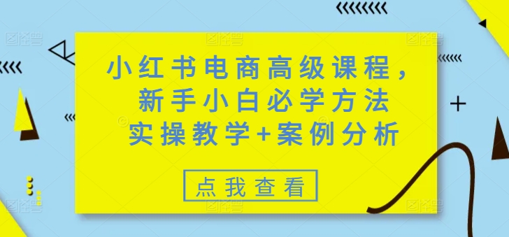 小红书电商高级课程，新手小白必学方法，实操教学+案例分析-Xiaobei云