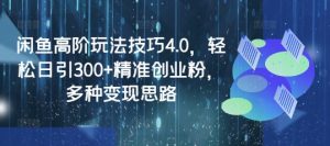 闲鱼高阶玩法技巧4.0,轻松日引300+精准创业粉,多种变现思路-Xiaobei云
