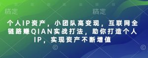 个人IP资产，小团队高变现，互联网全链路赚QIAN实战打法，助你打造个人IP，实现资产不断增值-Xiaobei云