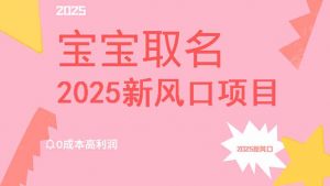 2025新风口项目宝宝取名，0成本高利润，附保姆级教程，月入过万不是梦-Xiaobei云