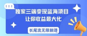 独家三端变现蓝海项目，让你收益最大化，长尾流无限躺挣-Xiaobei云