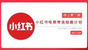 2025小红书虚拟电商实战课，从0到1打造无货源店铺，AI+爆款笔记轻松变现-Xiaobei云