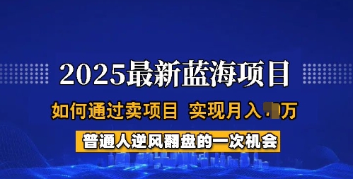 2025蓝海项目，普通人如何通过卖项目，实现月入过W，全过程【揭秘】-Xiaobei云