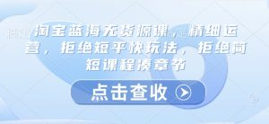 淘宝蓝海无货源课,精细运营,拒绝短平快玩法,拒绝简短课程凑章节-Xiaobei云