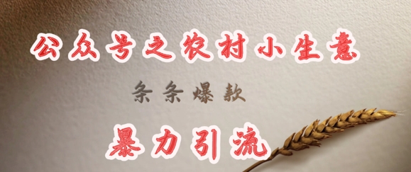 deepseek写农村小项目，条条爆款，暴力引流-Xiaobei云