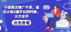 小说推文推广干货，蛋花小说3端平台同时做，火力全开-Xiaobei云