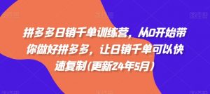 拼多多日销千单训练营，从0开始带你做好拼多多，让日销千单可以快速复制(更新25年3月)-Xiaobei云