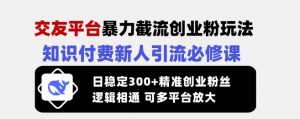 交友平台暴力截流创业粉玩法,知识付费新人引流必修课,日稳定300+精准创业粉丝,逻辑相通可多平台放大-Xiaobei云