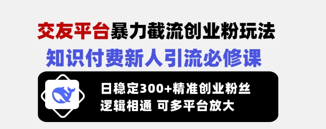 交友平台暴力截流创业粉玩法，知识付费新人引流必修课，日稳定300+精准创业粉丝，逻辑相通可多平台放大-Xiaobei云