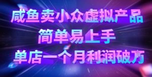 咸鱼卖小众虚拟产品，简单易上手，单店一个月利润破W-Xiaobei云