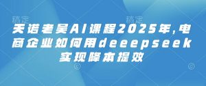 天诺老吴AI课程2025年,电商企业如何用deeepseek实现降本提效-Xiaobei云