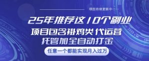 25年推荐这10个副业项目包含褂鸡类、代运营托管类、全自动打金类【揭秘】-Xiaobei云
