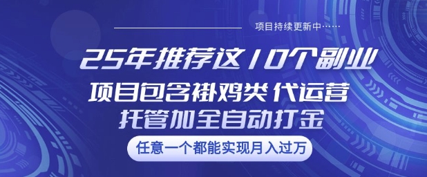 25年推荐这10个副业项目包含褂鸡类、代运营托管类、全自动打金类【揭秘】-Xiaobei云