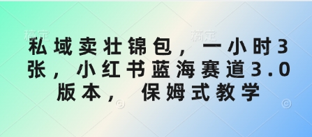 私域卖壮锦包，一小时3张，小红书蓝海赛道3.0版本， 保姆式教学-Xiaobei云