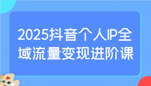 2025抖音个人IP全域流量变现进阶课：选爆品、抖音付费投流、千川投流实操及优化等-Xiaobei云