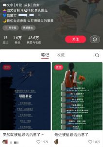 小红书治愈文案图文笔记，零门槛，一分钟制作轻松制作爆款作品月入万元-Xiaobei云