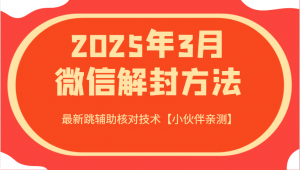 2025年3月微信解封方法 最新跳辅助核对技术【小伙伴亲测】-Xiaobei云