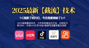 2025最新截流技术，工作室实操迭代打法，日轻松引粉300+，抖音+小红书+B站+视频号流量实操全流程-Xiaobei云