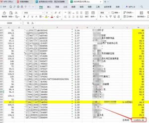 全新项目，每天被动收益1000+，长期管道收益！-Xiaobei云