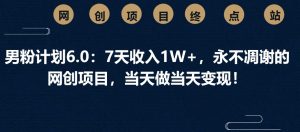 男粉计划6.0：7天收入1W+，永不凋谢的网创项目，当天做当天变现！-Xiaobei云