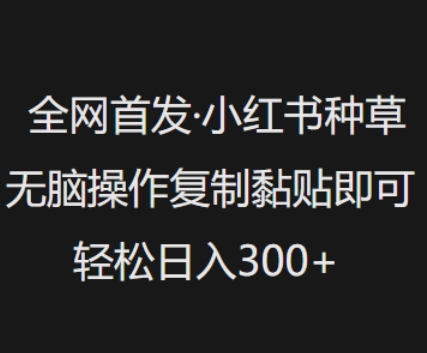 全网首发，小红书种草无脑操作，复制黏贴即可，轻松日入3张-Xiaobei云