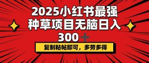2025小红书最强种草项目，无脑日入300+，复制粘帖即可，多劳多得-Xiaobei云