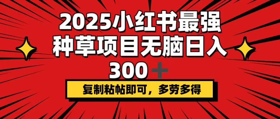 2025小红书最强种草项目，无脑日入300+，复制粘帖即可，多劳多得-Xiaobei云