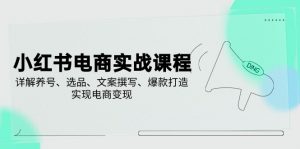 小红书电商实战课程，详解养号、选品、文案撰写、爆款打造，实现电商变现-Xiaobei云