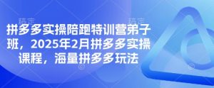 拼多多实操陪跑特训营弟子班，2025年2月拼多多实操课程，海量拼多多玩法-Xiaobei云