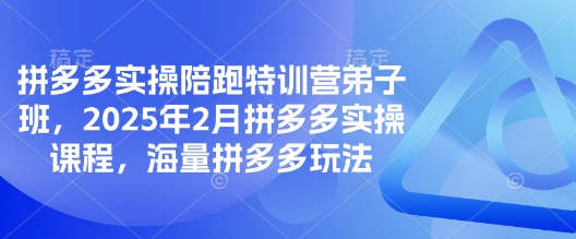 拼多多实操陪跑特训营弟子班，2025年2月拼多多实操课程，海量拼多多玩法-Xiaobei云