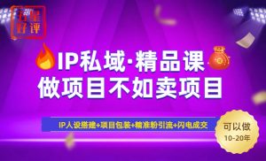 2025年“IP私域·密训精品课”，日赚3000+小白避坑年赚百万，暴力引流...-Xiaobei云