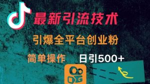 最新引流方法,引爆全平台的一个创业粉,简单操作日引300+-Xiaobei云