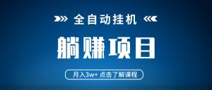 全自动挂机项目 月入3w+ 真正躺平项目 不吃电脑配置 当天见收益-Xiaobei云