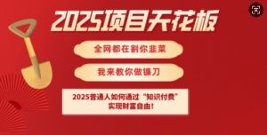 2025项目天花板普通人如何通过知识付费，实现财F自由【揭秘】-Xiaobei云