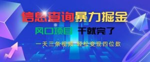 信息查询暴力掘金，一天三条视频，轻松变现四位数，风口项目干就完了【揭秘】-Xiaobei云
