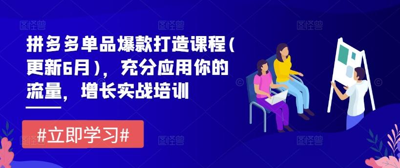 拼多多单品爆款打造课程(更新6月)，充分应用你的流量，增长实战培训-Xiaobei云